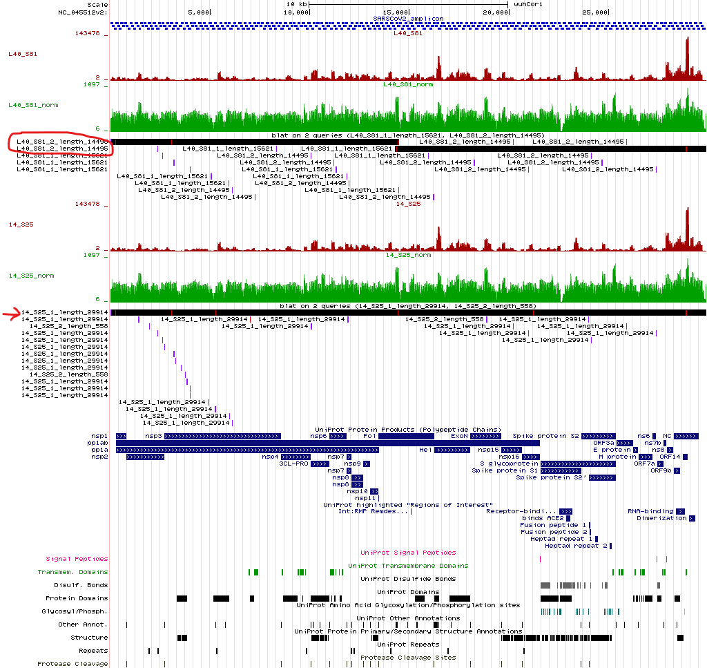 UCSC Genome Browser instance with the above samples and sequences loaded