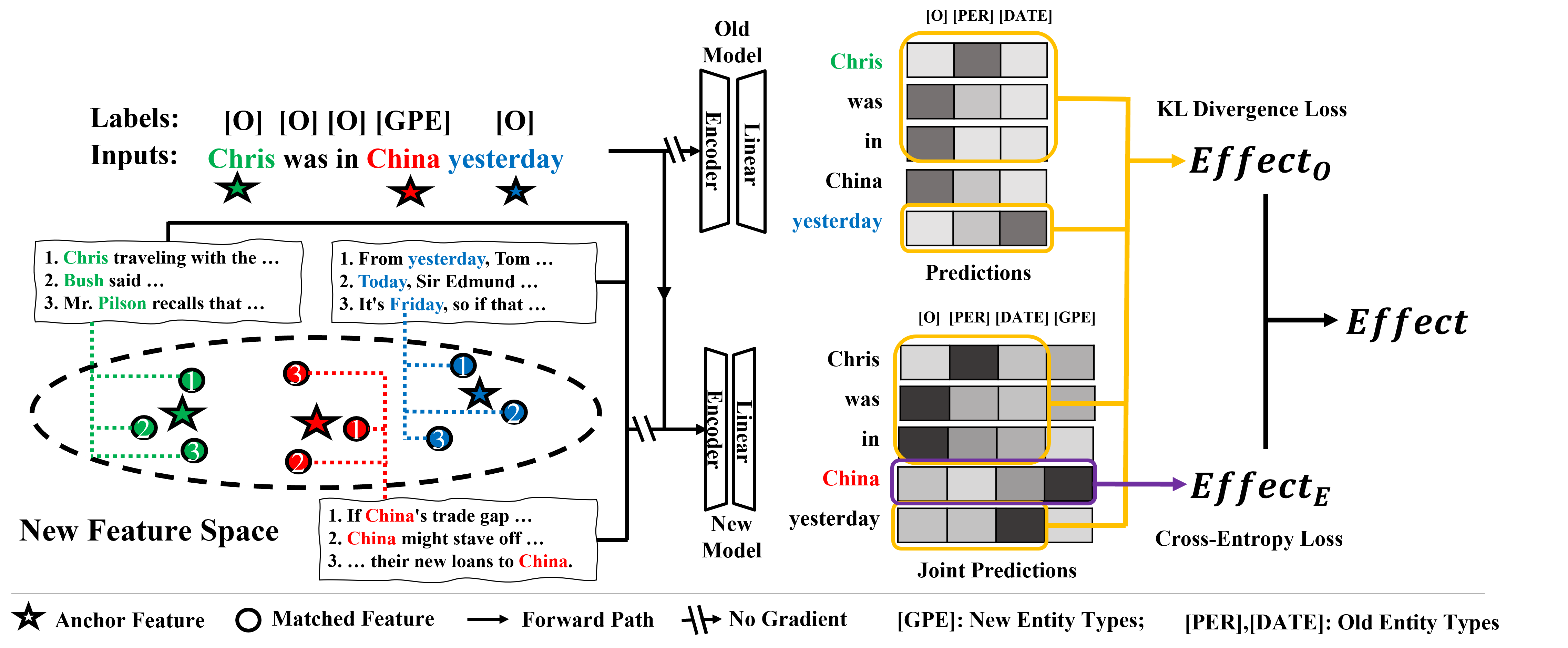 The architecture of the proposed method (CFNER)